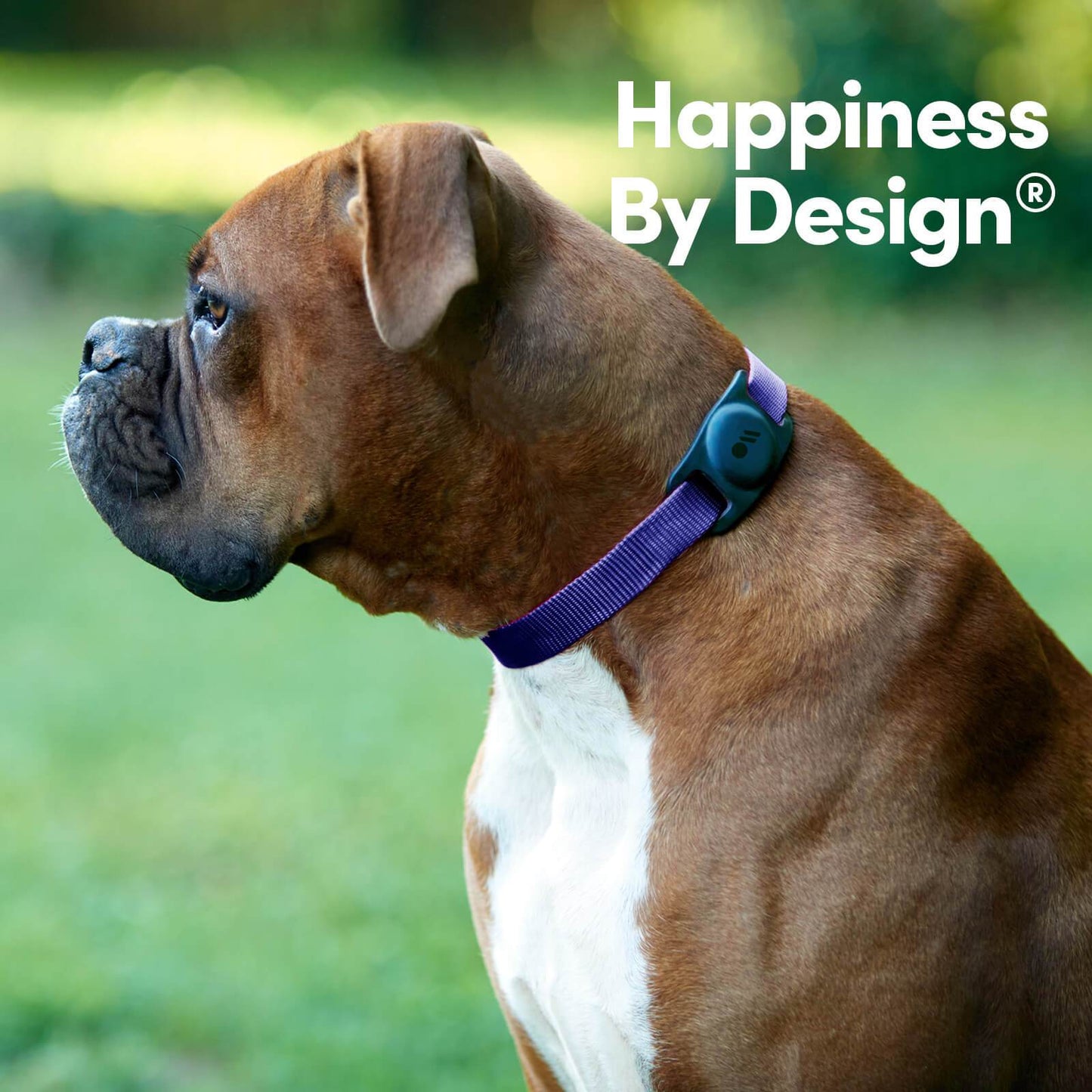 Casemate AirTag Case for Dog Collars