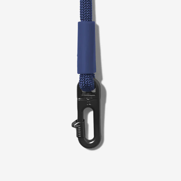 Leash, hands free